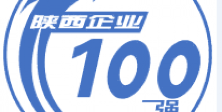 2013陕西100强企业名单